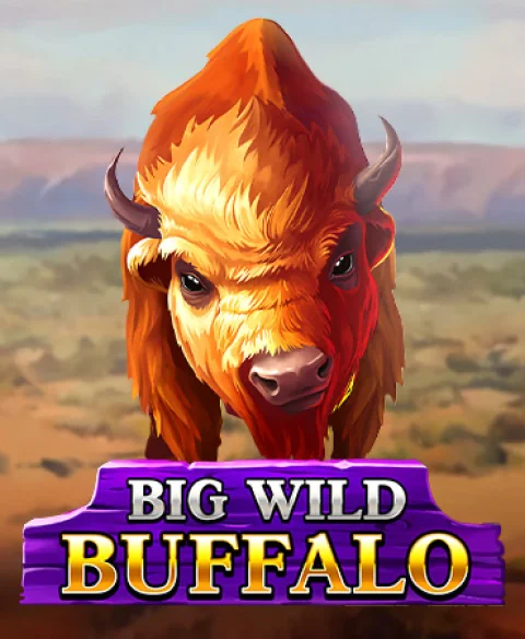 Play Big Wild Buffalo at Staxino Casino